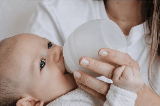 Chauffe-biberon compatible Philips Avent : comparatif des modèles - Élhée