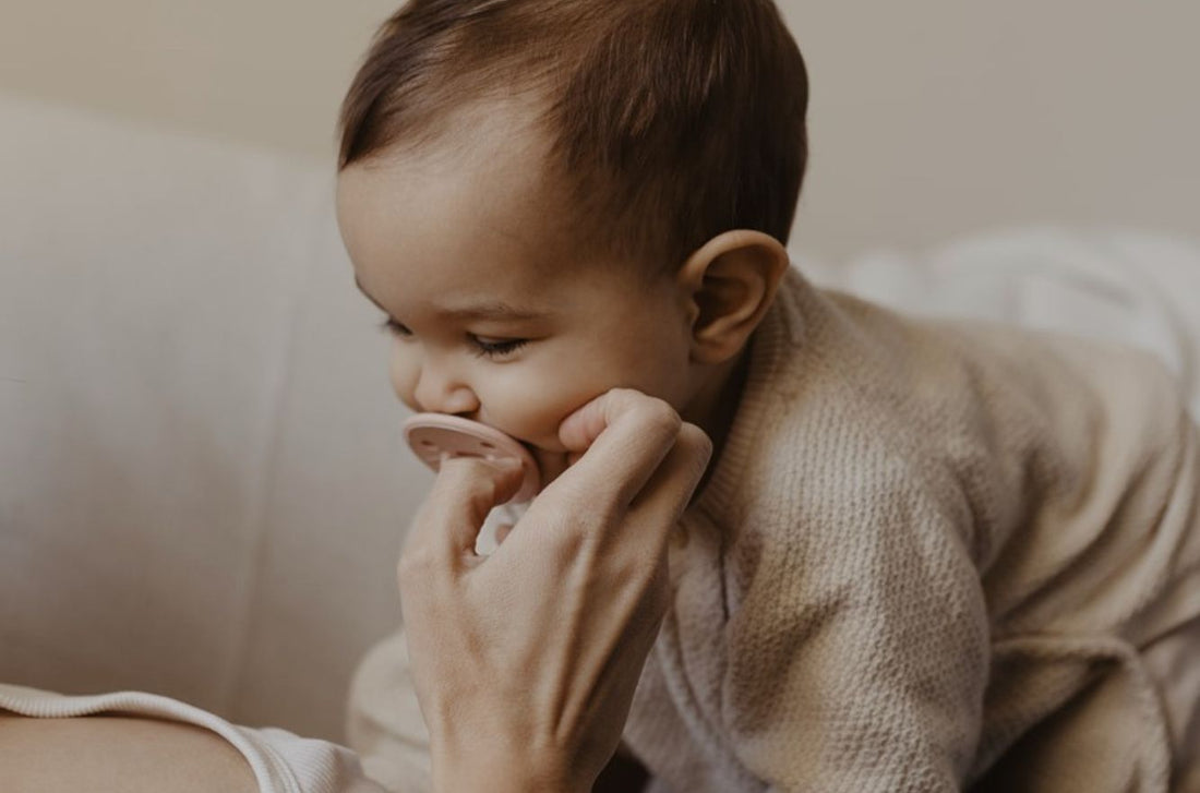Pourquoi les bébés aiment-ils tant les sucettes ? - Élhée